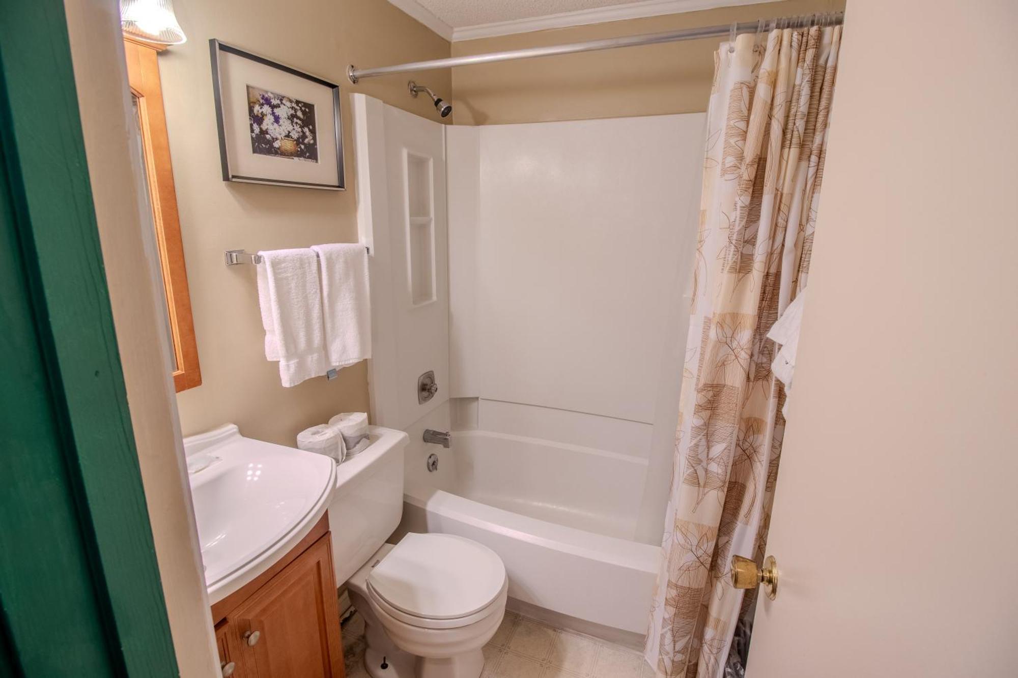 Ml240 Wonderful Mountain View Close To Slopes Ez Parking Wifi Snowshoe Luaran gambar